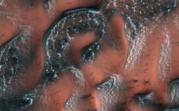 De la glace en abondance près de la surface de Mars