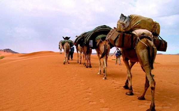 Le Sahara revisité : tourisme saharien et politique