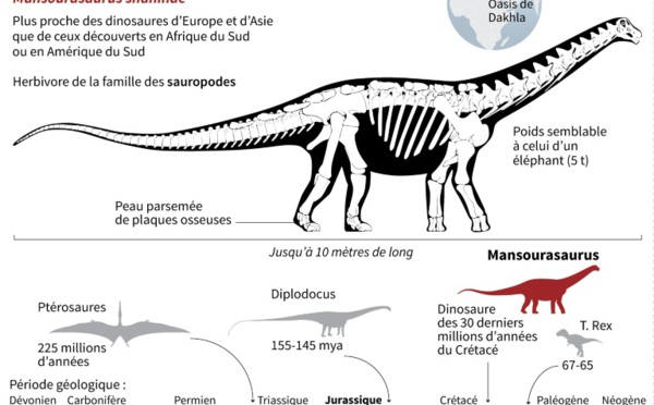 Découverte d'un  dinosaure égyptien, très européen