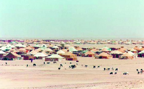 Un rapport officieux fait état de désertions successives dans les rangs des séparatistes : Défections en série parmi les militaires du Polisario