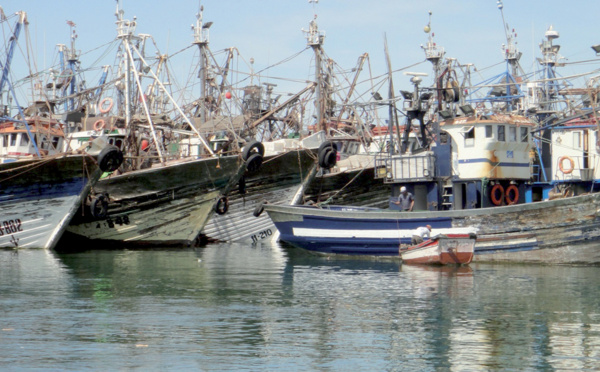 Les professionnels marocains et espagnols de la pêche en conclave à Dakhla