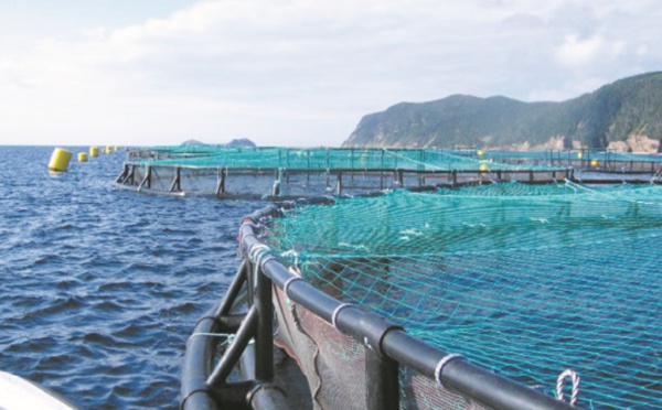 L’ANDA affiche de grandes ambitions pour une aquaculture durable