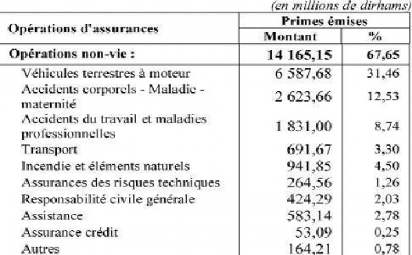 Avec des bénéfices en léger repli par rapport à 2008 : Le secteur des assurances affiche une croissance molle