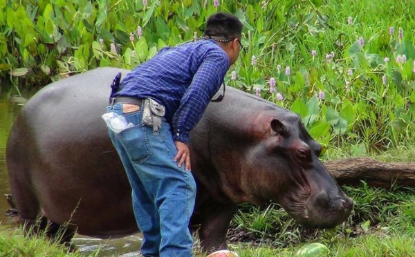 Insolite : La longue traque de "Tyson"