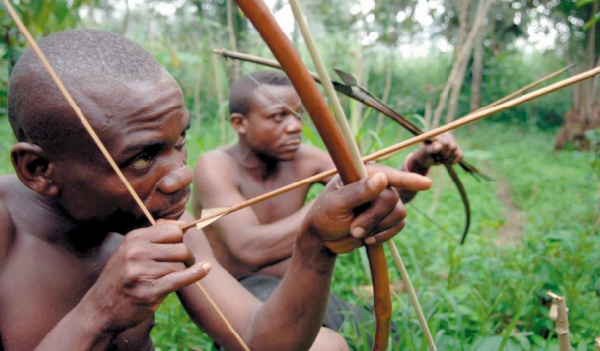 Un mécanisme pour sauver les forêts accusé de bafouer les droits des autochtones