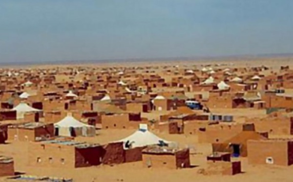 Les violations des droits des enfants dans les camps de Tindouf dénoncées à Salvador de Bahia