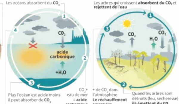Même un réchauffement de 2°C aura une incidence importante