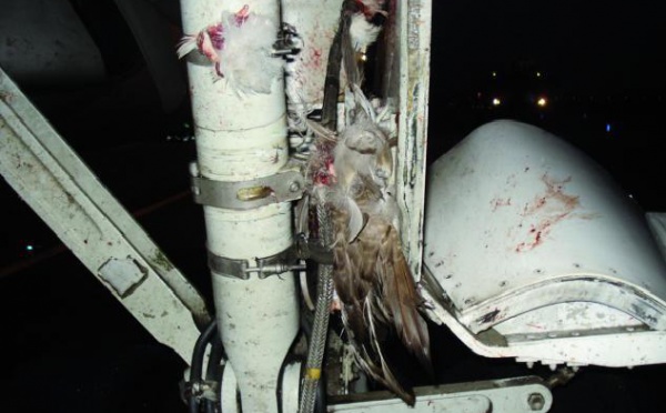 L’un de ses réacteurs dégageant beaucoup de fumée : Un Boeing de la RAM atterrit d’urgence à Amsterdam