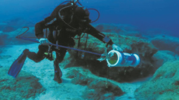 Chypre, en pointe contre l'invasion du poisson-lion en Méditerranée