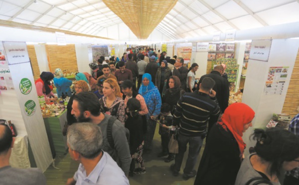 Plein feux sur l’agriculture néerlandaise : Les Pays-Bas sont à l’honneur de l’édition 2018 du SIAM