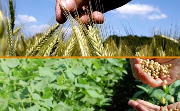 Le Maroc en passe de réussir son pari dans le domaine agricole