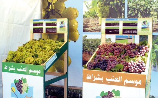 Fête annuelle du raisin de Charrat: L’Association Rouad à pied d’œuvre