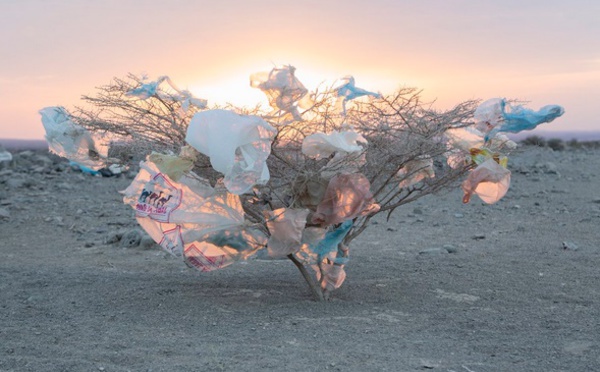 Tara appelle à des JO de Tokyo-2020 sans plastique