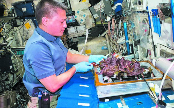 Jardiner  dans  l'espace,  un défi pour les futurs  explorateurs