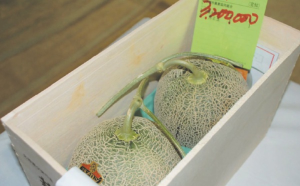 Insolite : Melons à 25.000 euros