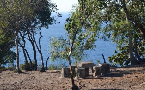 Lancement d'un programme de sensibilisation à la préservation des forêts urbaines de Tanger