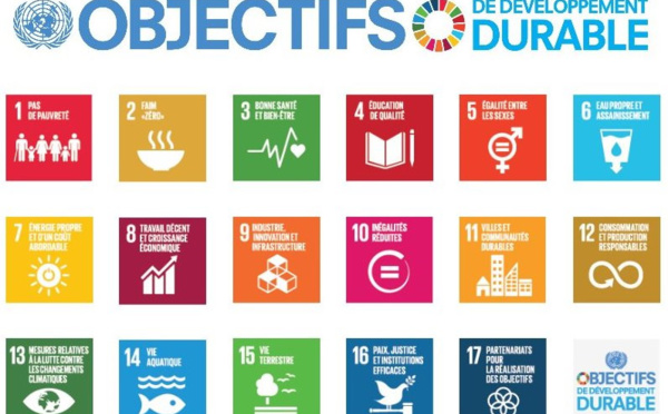 Répercussions des ODD sur les politiques publiques aux niveaux sectoriel et territorial