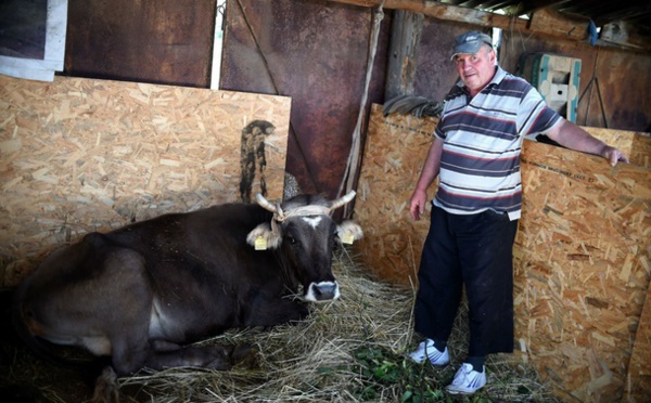 Insolite : Penka la vache