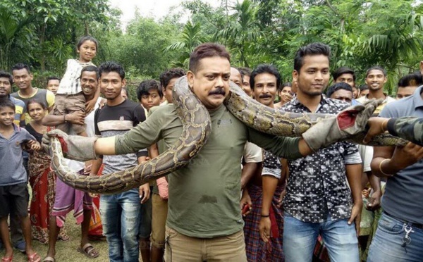 Insolite : Il pose avec un python