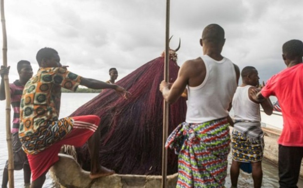 Au Bénin, le Zangbéto, divinité vaudoue au secours de la mangrove