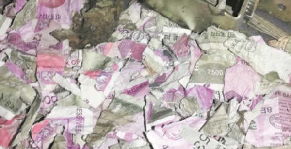 Insolite : Des roupies grignotées par des rats