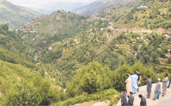 Des centaines de millions d'arbres plantés contre la déforestation au Pakistan