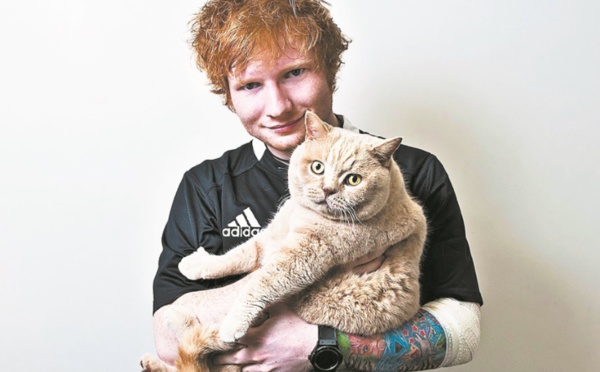 Ed Sheeran ouvre un compte Instagram pour ses chats