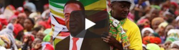 Le "crocodile" président du zimbabwe