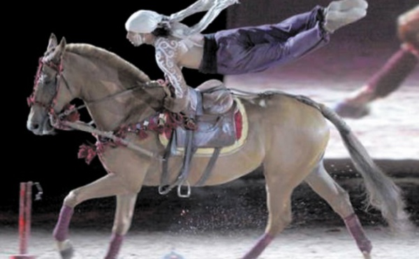 Salon du cheval : Le show hippique d'El Jadida en octobre prochain