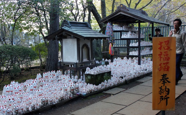 Insolite : Temple des chats