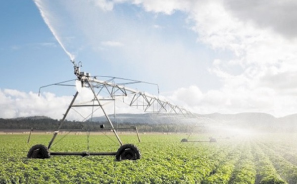 Pour une mise en valeur des terres sahariennes : Aménagement hydro-agricole à Boujdour