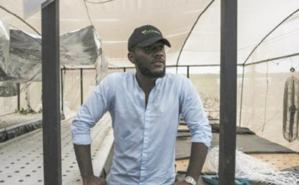 Jeunes, dynamiques, riches et ambitieux, les nouveaux "gentlemen farmers" du Nigeria