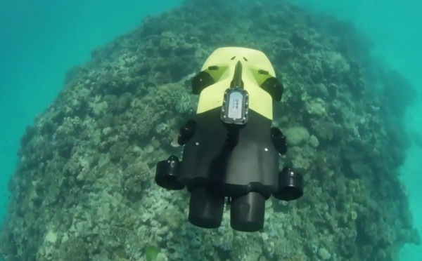 Un robot pour chasser les étoiles de mer tueuses