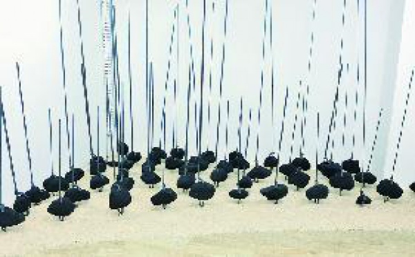 Exposition d'art contemporain à Casablanca  : Regards créateurs sur la nature