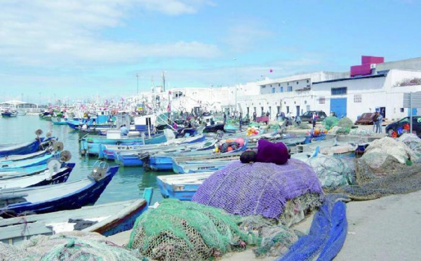 Pêche artisanale : Journée d’études au profit des coopératives