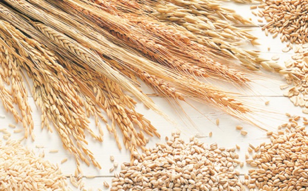 Signature à Casablanca d’une convention maroco-française de coopération céréalière
