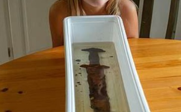 ​Insolite : Epée millénaire