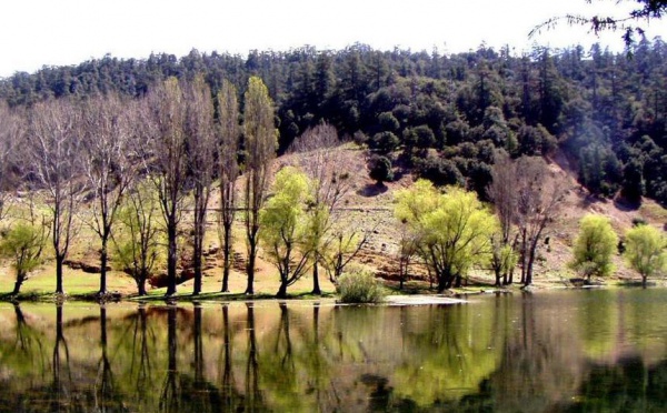 Journée mondiale des zones humides : Ensemble pour réussir le PAG du Val d'Ifrane