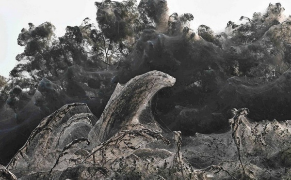 Insolite : Un lac pris dans une toile d'araignée