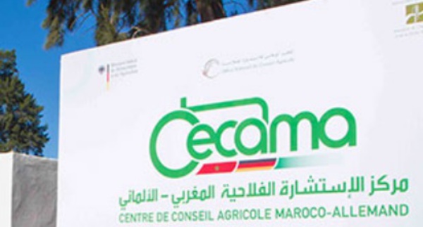 Signature à Marrakech d'une convention en vue de renforcer la durabilité de l'action du CECAMA