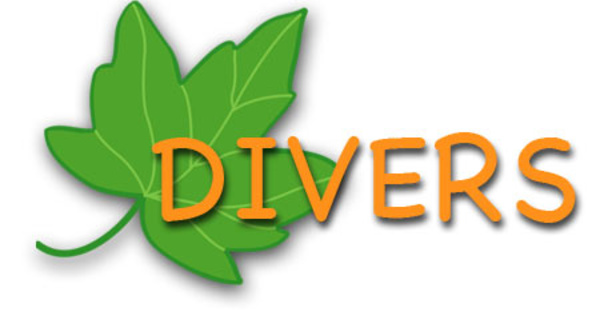 divers 