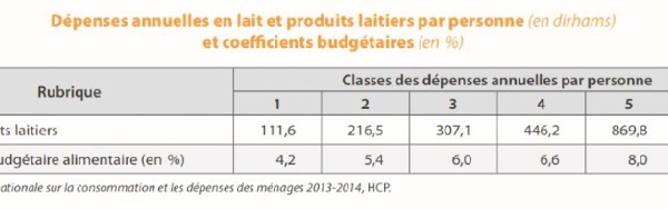 Situation et principales tendances de la filière laitière