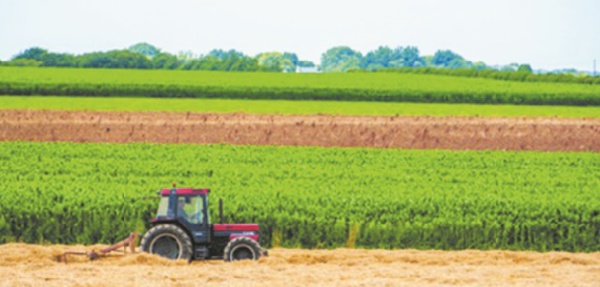 La saison agricole démarre dans des conditions favorables