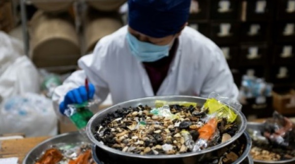 Entre plantes et scorpions, les Chinois attachés à leur médecine traditionnelle
