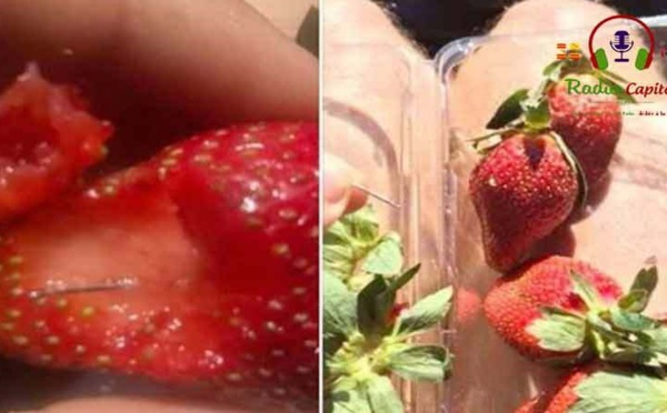Insolite  : Mystère des fraises piégées