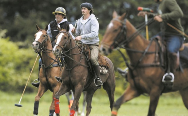 La génétique pour percer les secrets des meilleurs chevaux de polo du monde