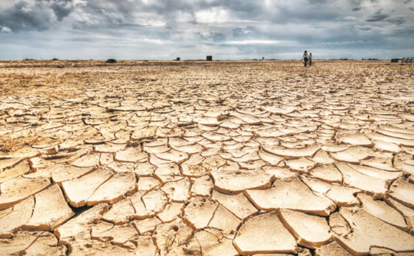 De nouveaux financements de la BM en faveur du climat