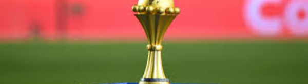 Le Cameroun ne contestera pas la décision du retrait de la CAN 2019 devant le TAS