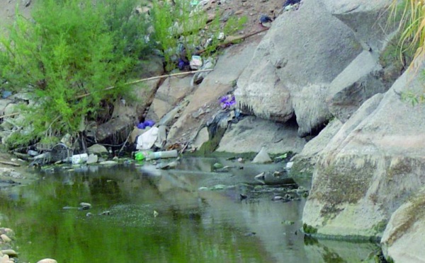 Transformé en décharge sauvage et déversoir des eaux usées par les riverains : Assif N’Tahala à l’épreuve de la pollution