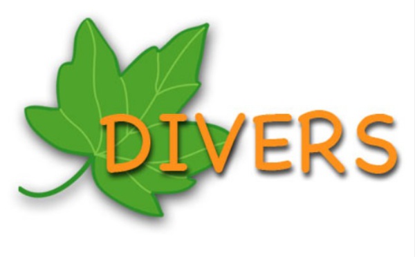 Divers